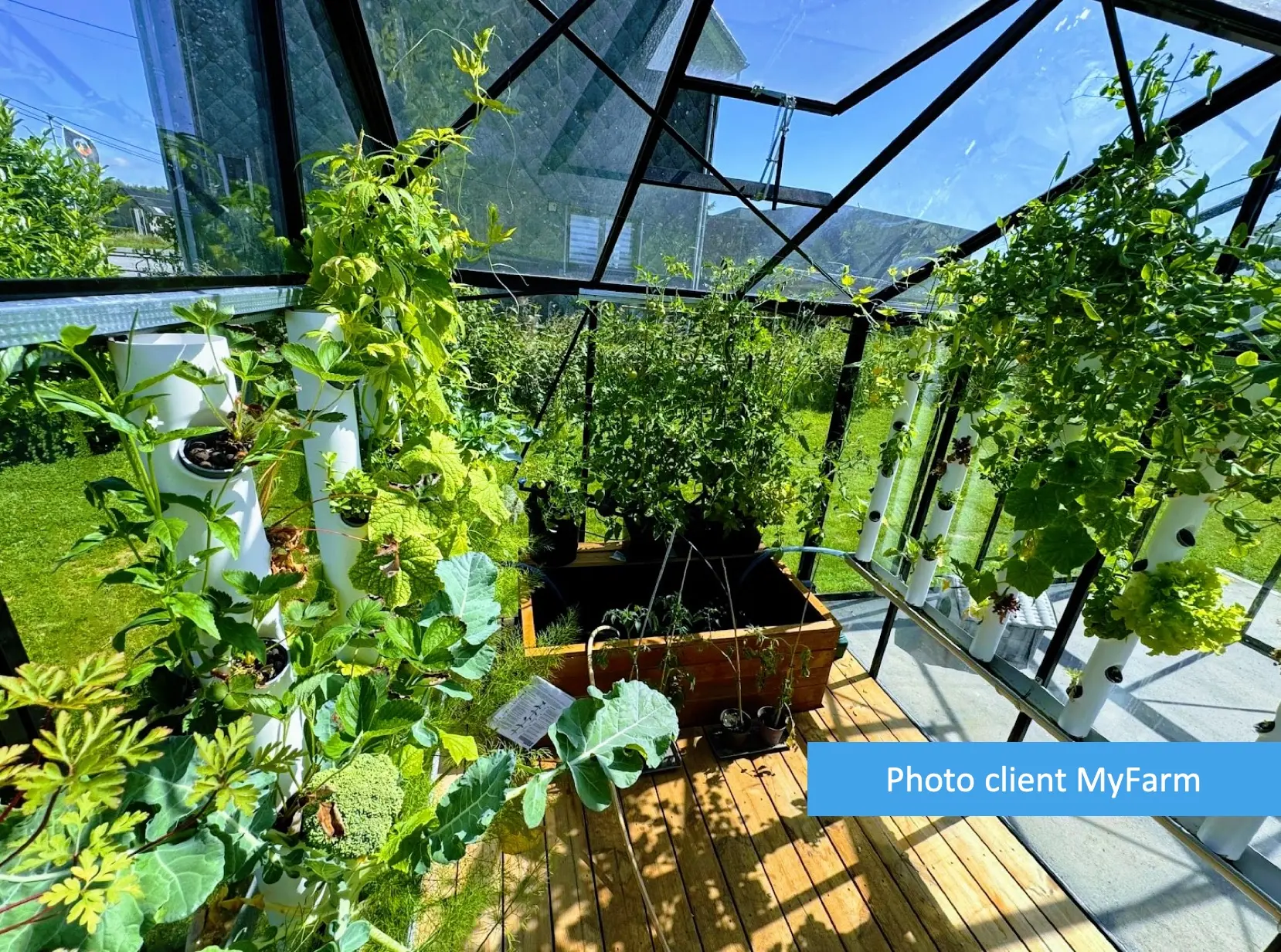 Serre automatisée aquaponique myFarm à Namur Serre automatisée aquaponique myFarm à Namur