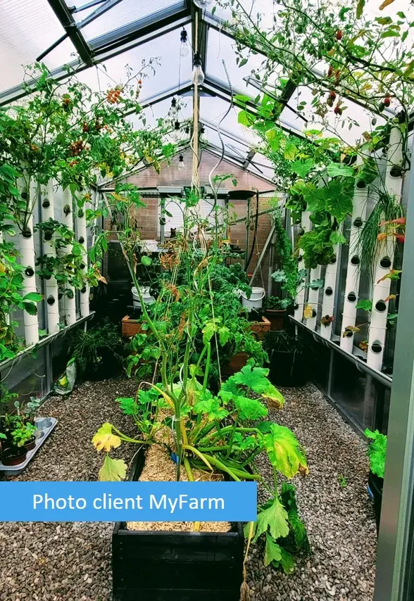 Serre automatisée aquaponique myFarm à Escautpont Serre automatisée aquaponique myFarm à Escautpont