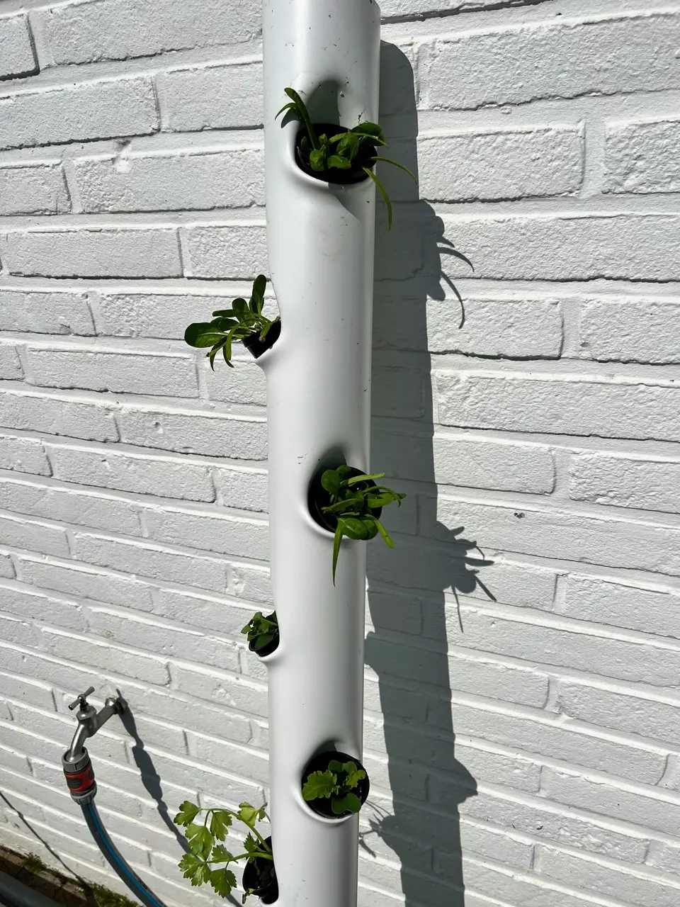 Serre automatisée aquaponique myFarm - Plantation dans une tour Serre automatisée aquaponique myFarm - Plantation dans une tour