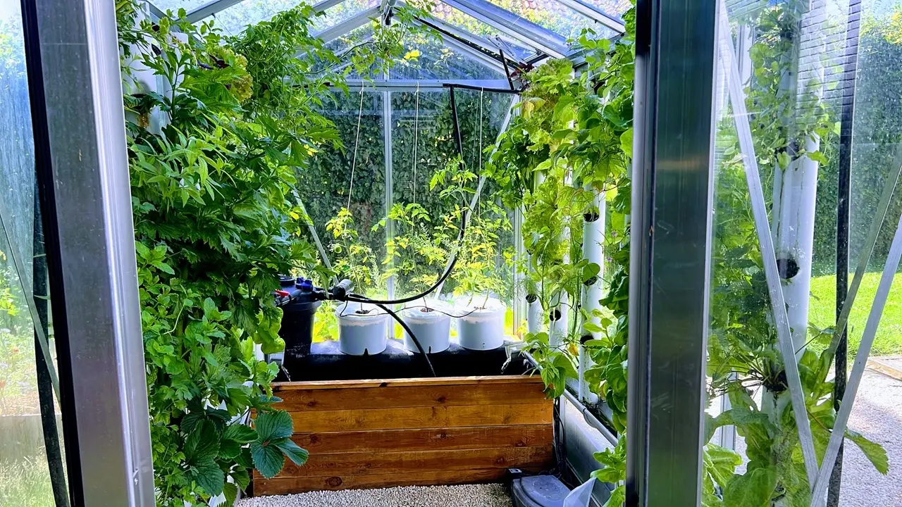 Serre automatisée aquaponique myFarm à Overijse Serre automatisée aquaponique myFarm à Overijse