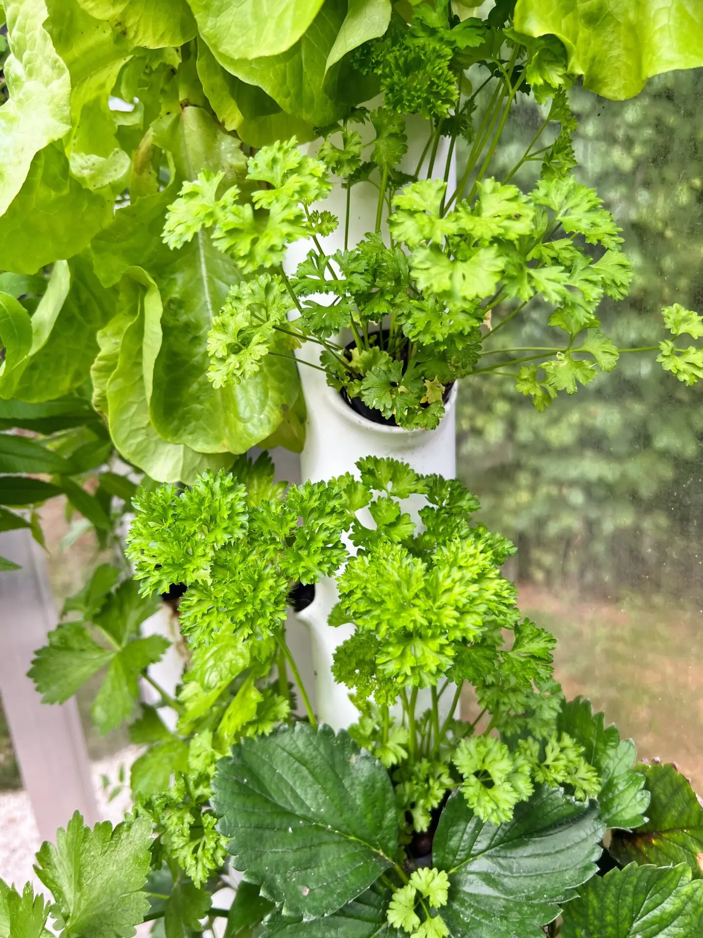 Tour de la serre automatisée aquaponique myFarm Tour de la serre automatisée aquaponique myFarm