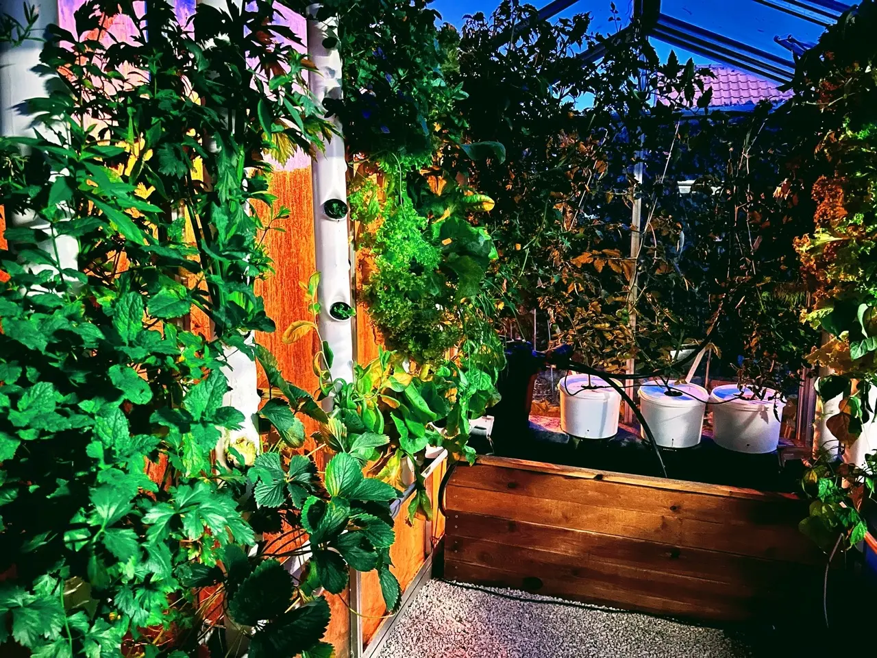 Serre automatisée aquaponique myFarm à Overijse de nuit Serre automatisée aquaponique myFarm à Overijse de nuit