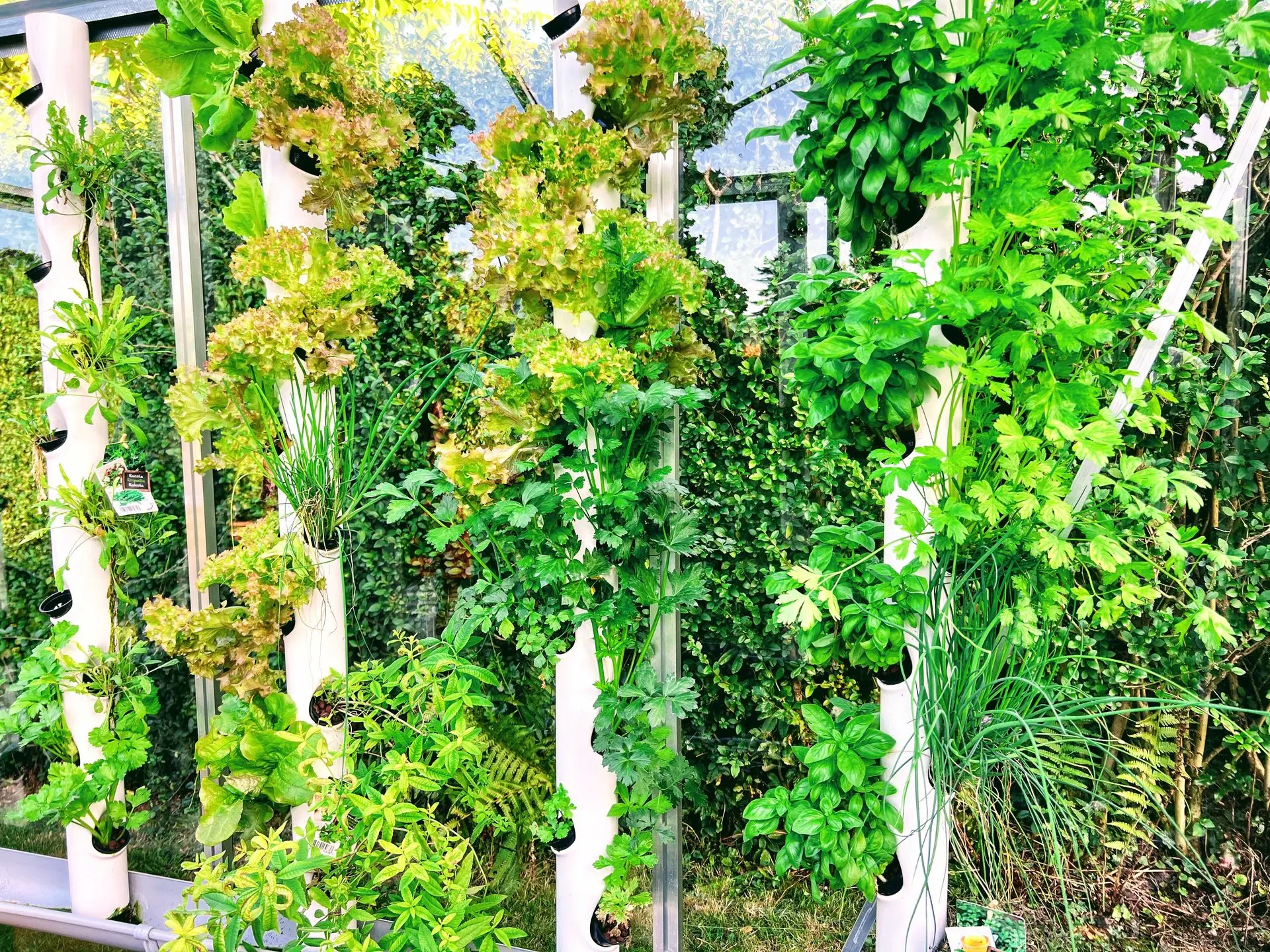 Serre automatisée aquaponique myFarm - Tours de culture verticale Serre automatisée aquaponique myFarm - Tours de culture verticale