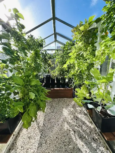 Virtual tour of the MyFarm demonstration greenhouse (in French)