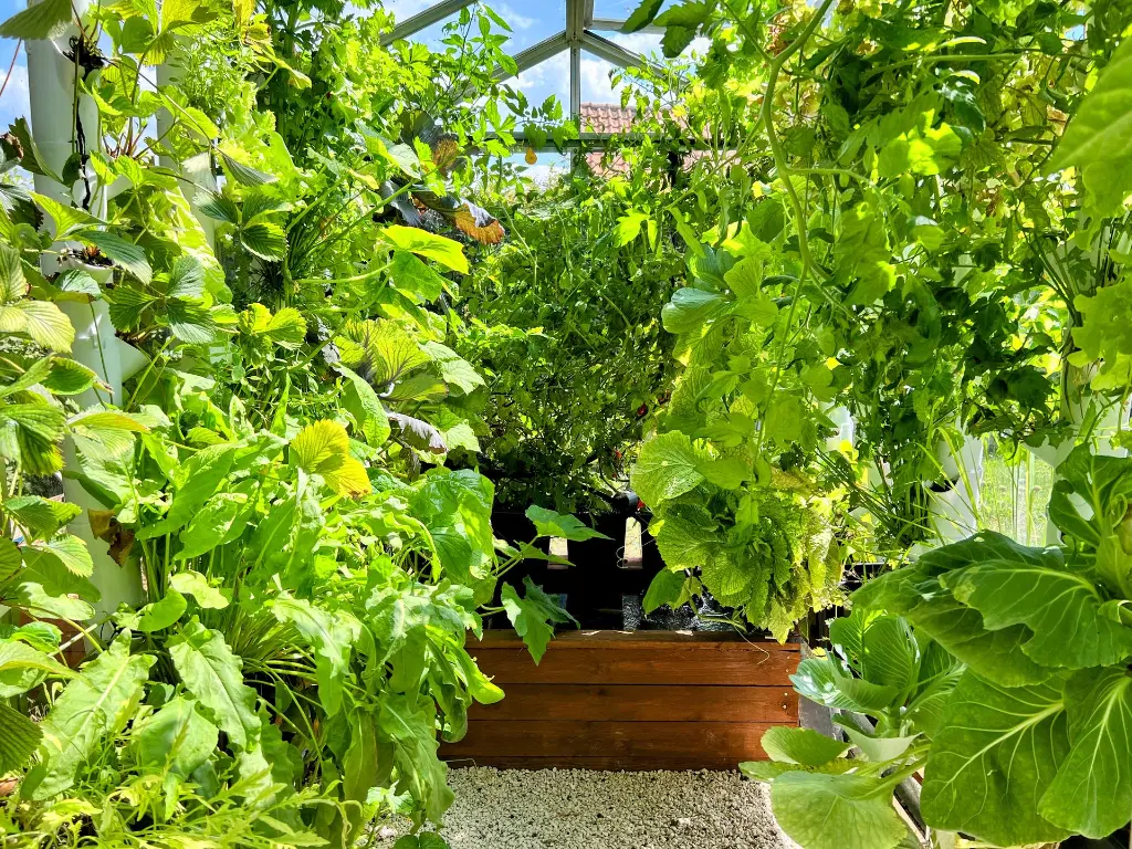 IMG_1326-EDIT (1).webp