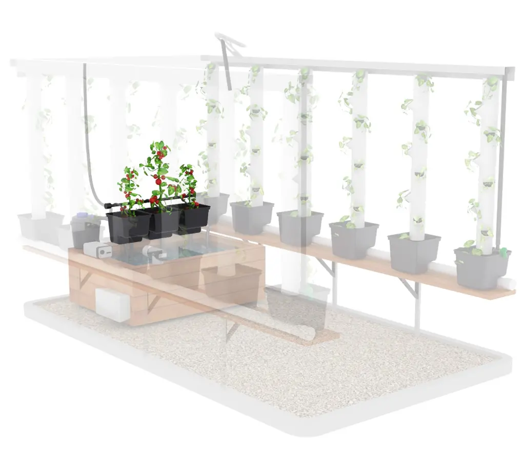 Extension grands plants (Extension 3 grands plants)