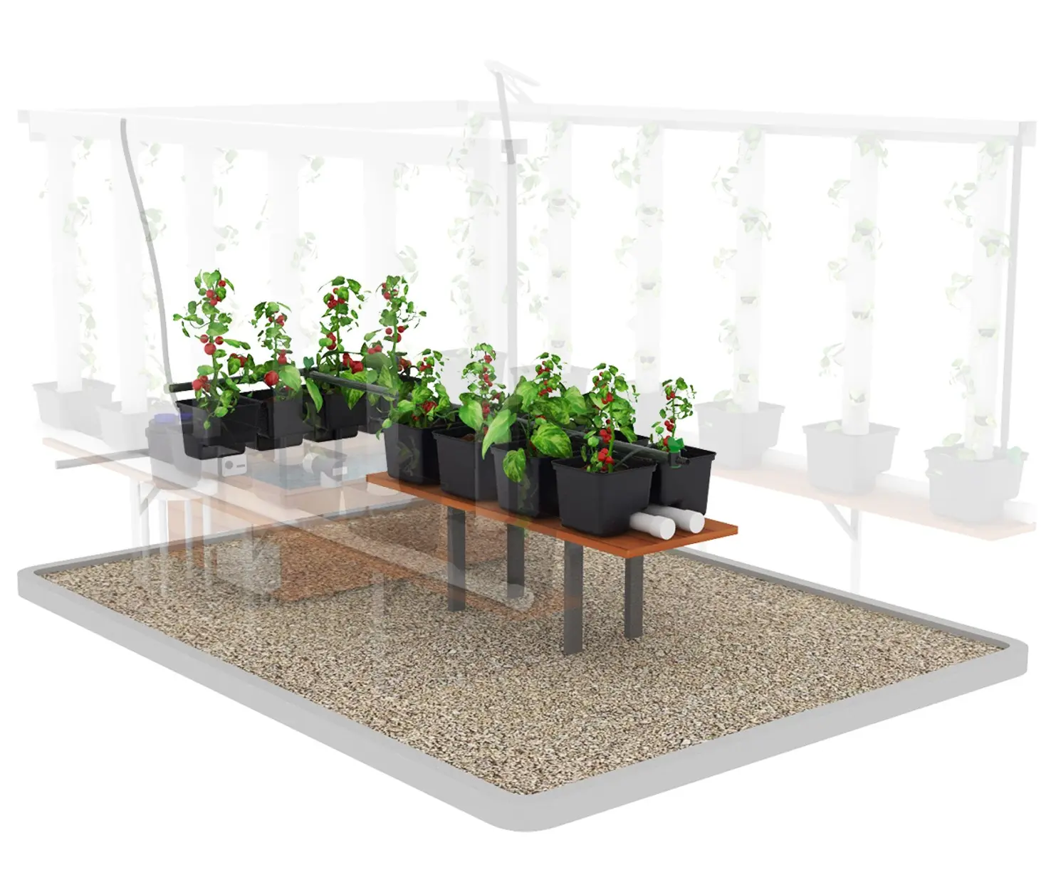 Extension grands plants